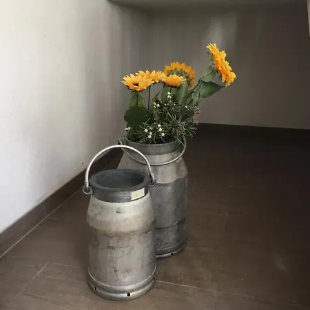 Ferienwohnung Sonnenschein Ferienhaus *